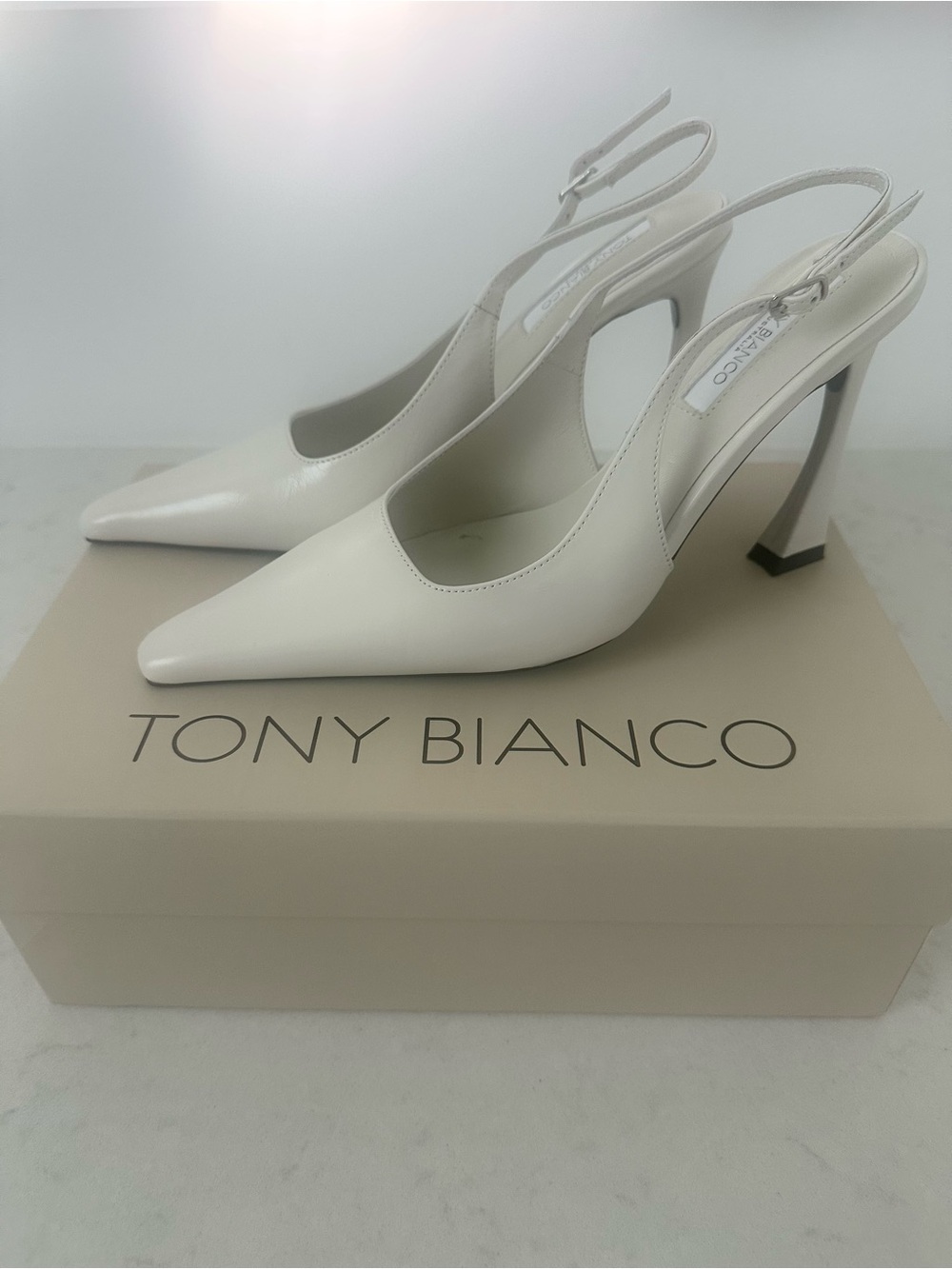 Tony Bianco Sassy Pointed Slingback Pumps in Dove Crinkle